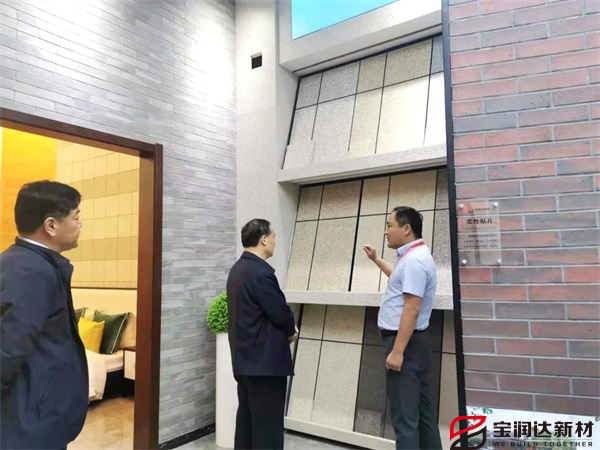 熱烈歡迎許昌市統戰部部長(cháng)楚雷蒞臨寶潤達
